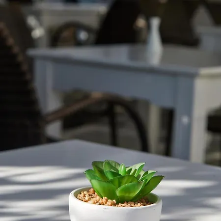 Pensionat Theologos Place Antiparos Town